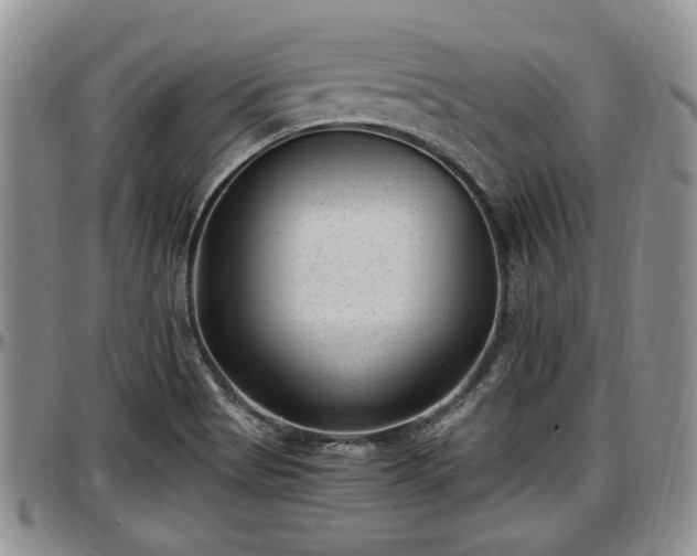 X0000097501513200802291547