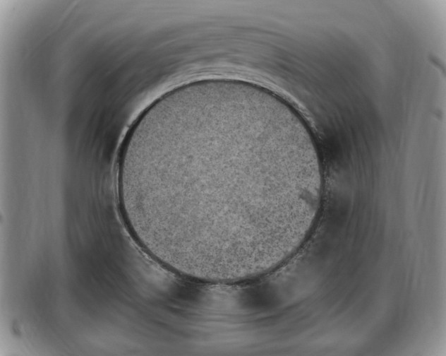 X0000097501514200802291547