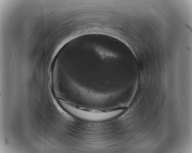 X0000097501515200802291547
