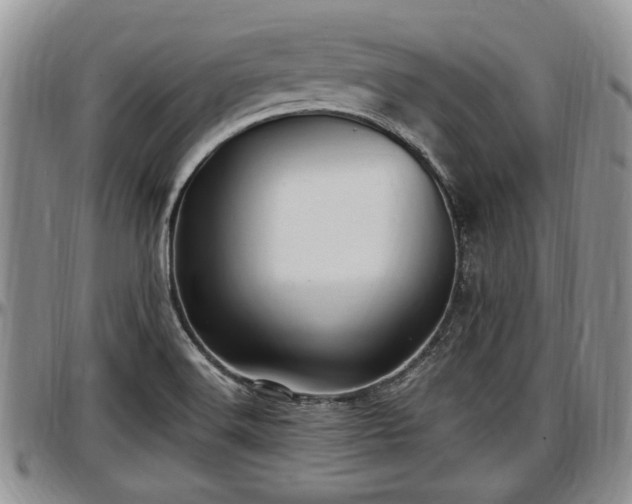 X0000097501516200802291547