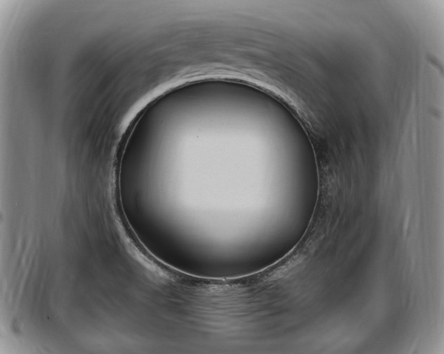 X0000097501518200802291547