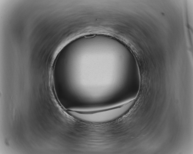 X0000097501520200802291547