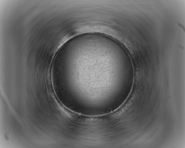 X0000097501521200802291547