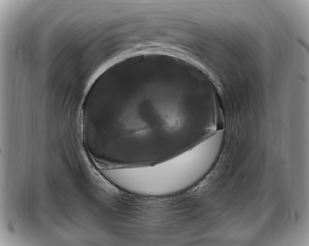 X0000097501522200802291547