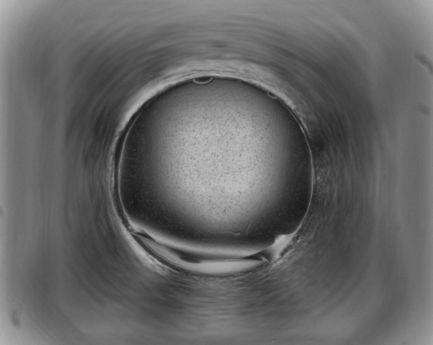 X0000097501523200802291547
