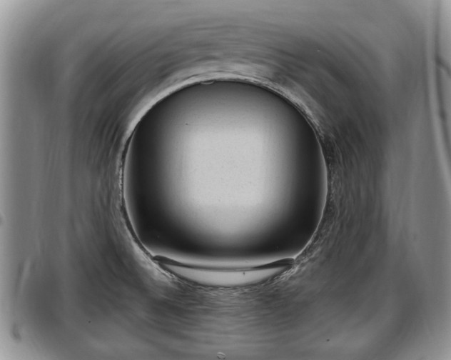 X0000097501524200802291547