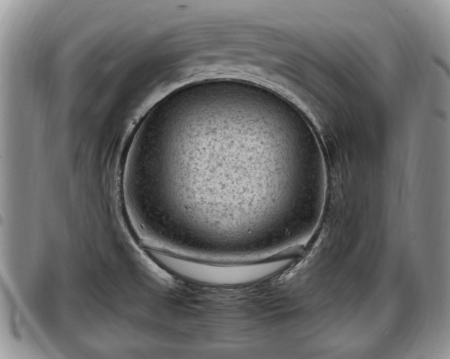 X0000097501525200802291547