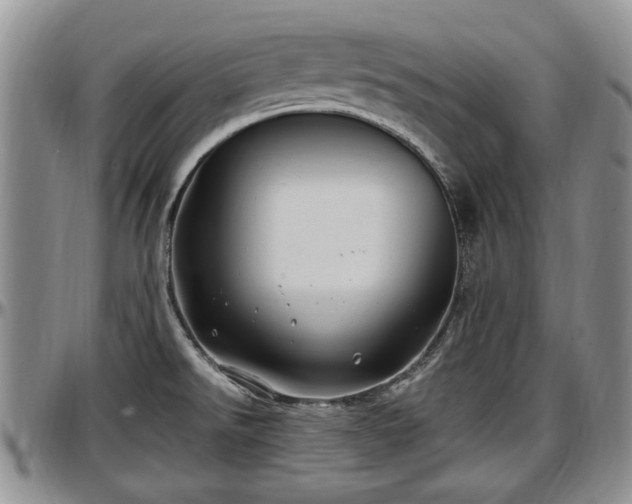 X0000097501526200802291547