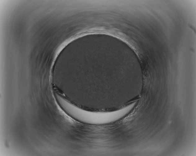 X0000097501527200802291547