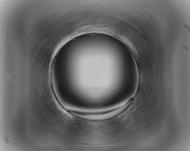 X0000097501528200802291547