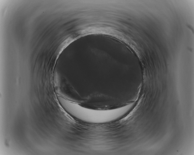 X0000097501529200802291547
