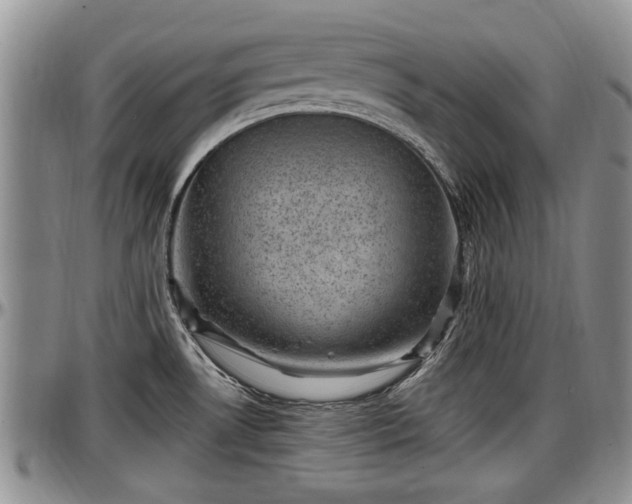X0000097501530200802291547