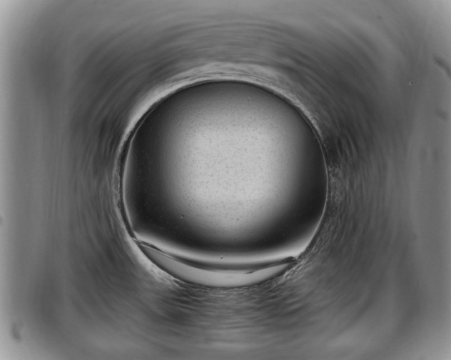 X0000097501531200802291547