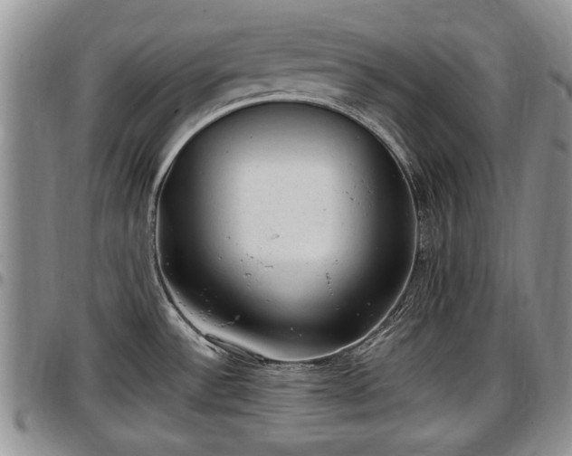 X0000097501532200802291547