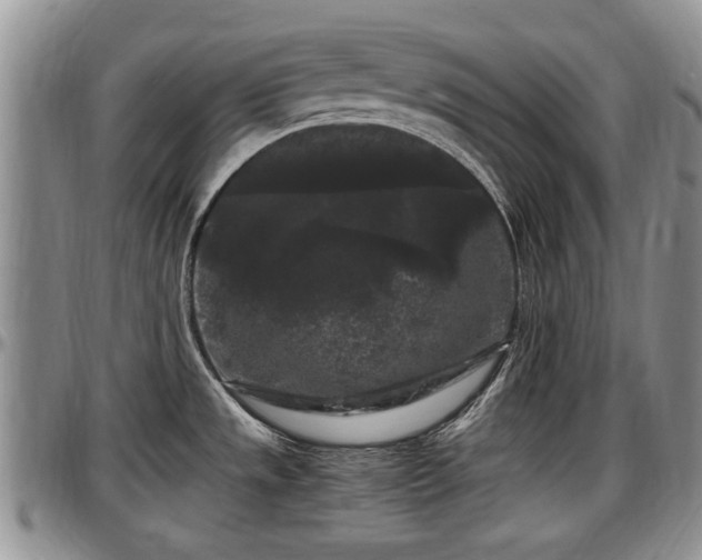 X0000097501533200802291547