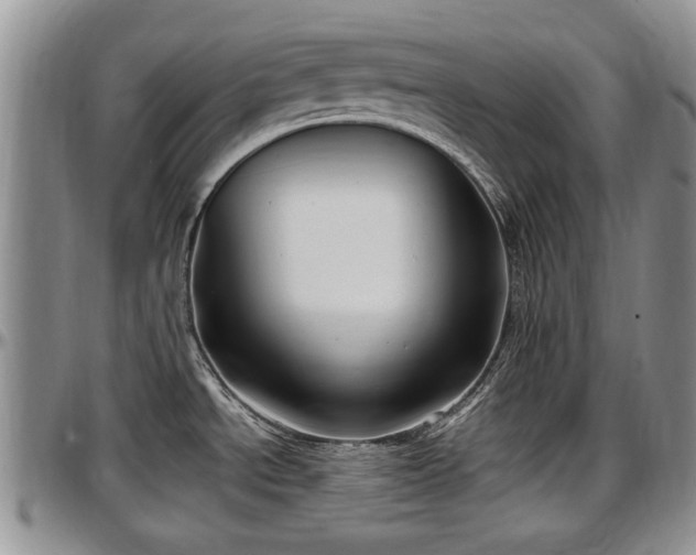 X0000097501534200802291547