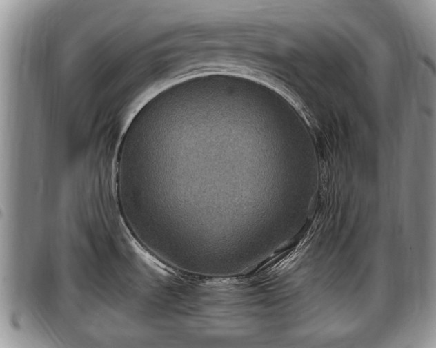 X0000097501535200802291548