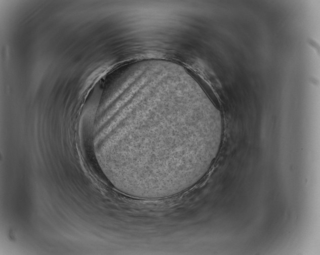 X0000097500001200803071812