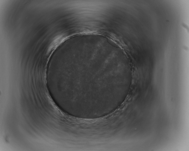 X0000097500002200803071812