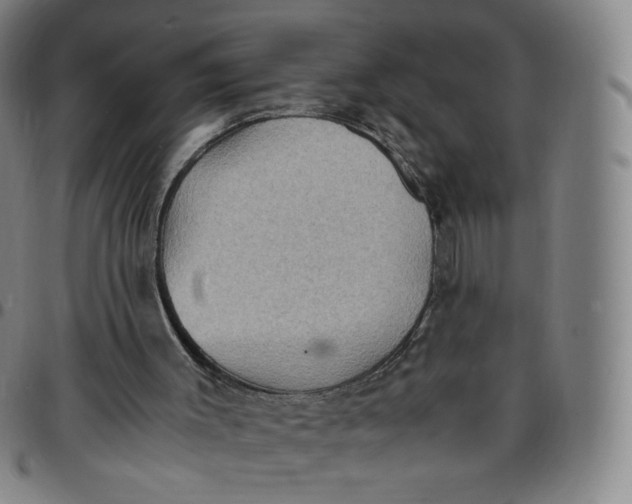 X0000097500003200803071812