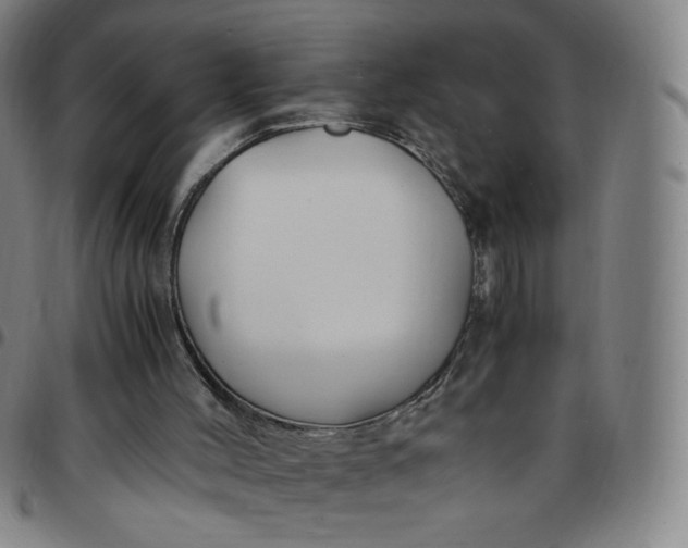 X0000097500004200803071812