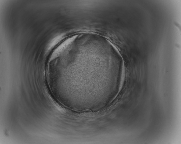 X0000097500005200803071812