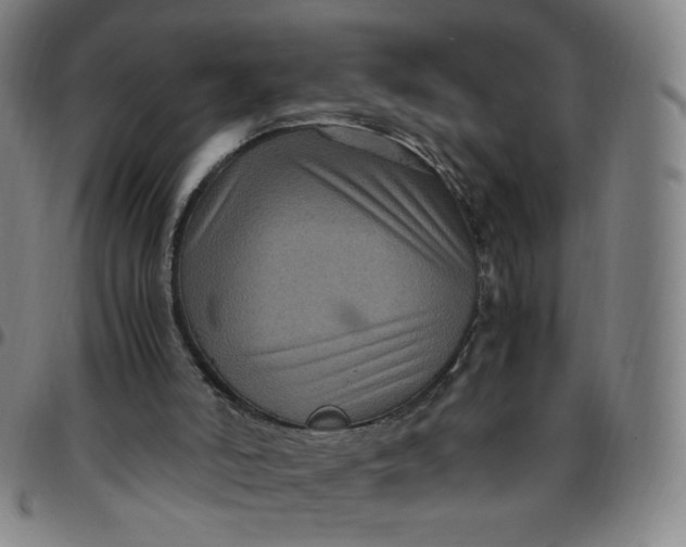 X0000097500006200803071812