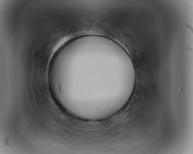 X0000097500008200803071812