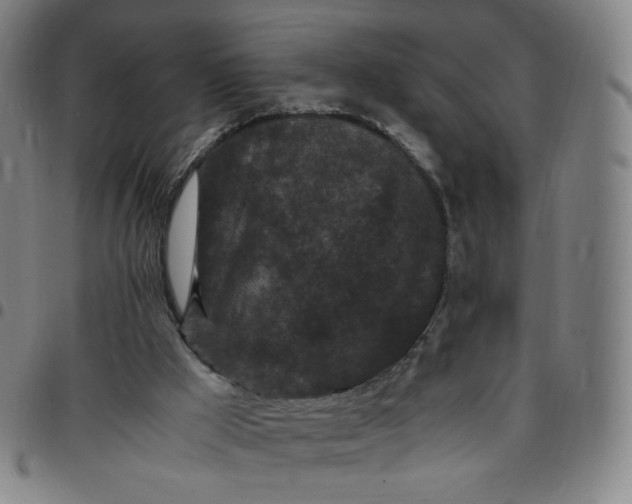 X0000097500009200803071812