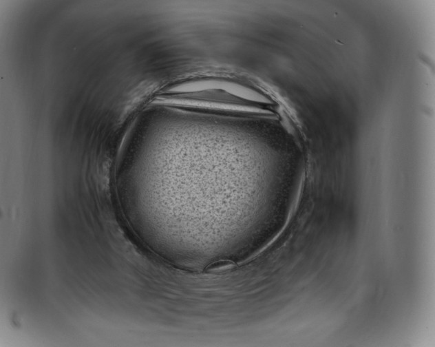 X0000097500010200803071812