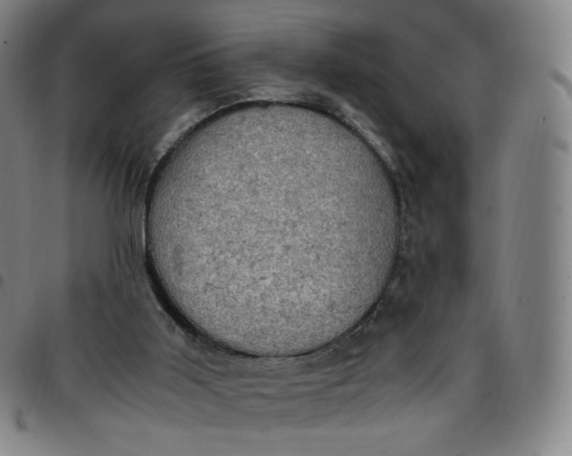 X0000097500011200803071812