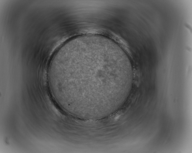 X0000097500012200803071812