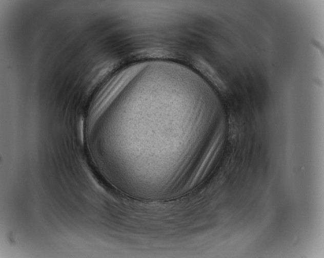 X0000097500014200803071812