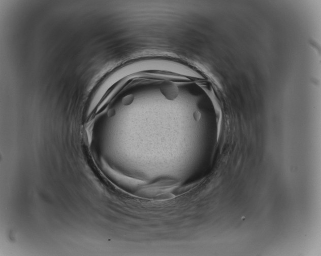 X0000097500015200803071812