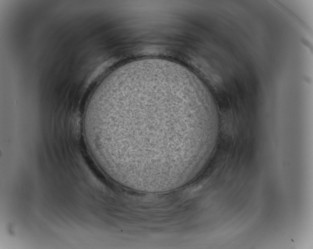 X0000097500016200803071812