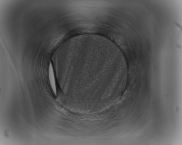 X0000097500017200803071812