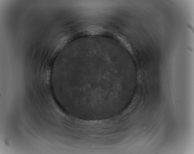 X0000097500018200803071812