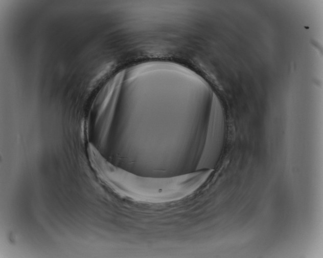 X0000097500019200803071812