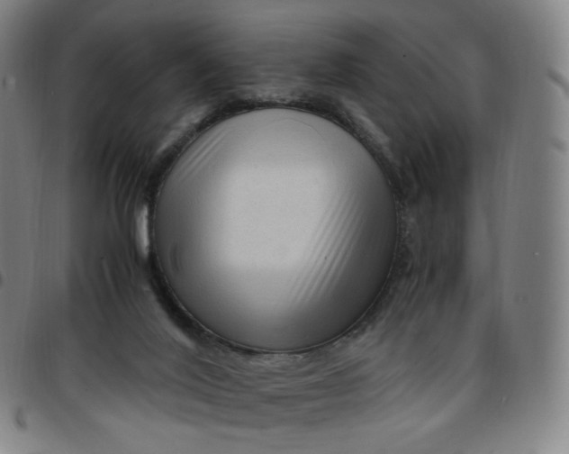 X0000097500020200803071812