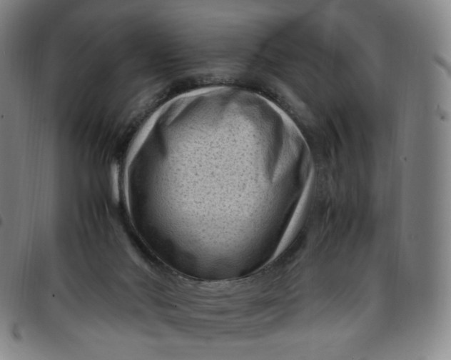 X0000097500022200803071812