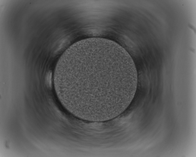 X0000097500024200803071812