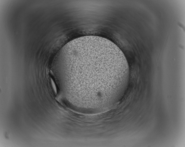 X0000097500025200803071812