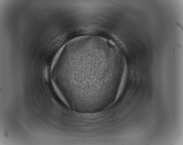 X0000097500026200803071812