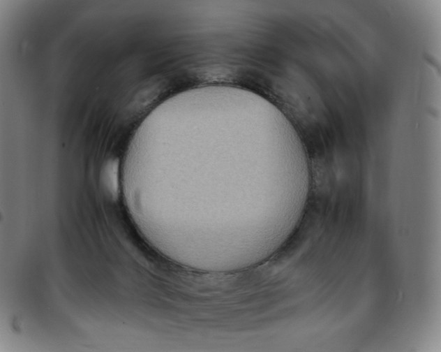 X0000097500028200803071812