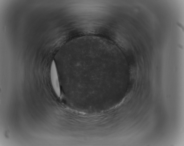 X0000097500029200803071812