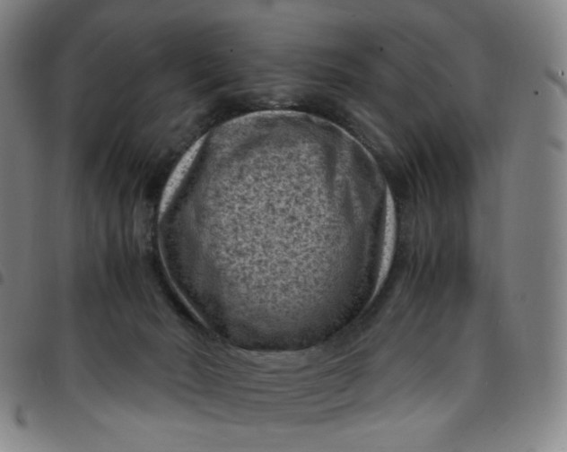 X0000097500030200803071812