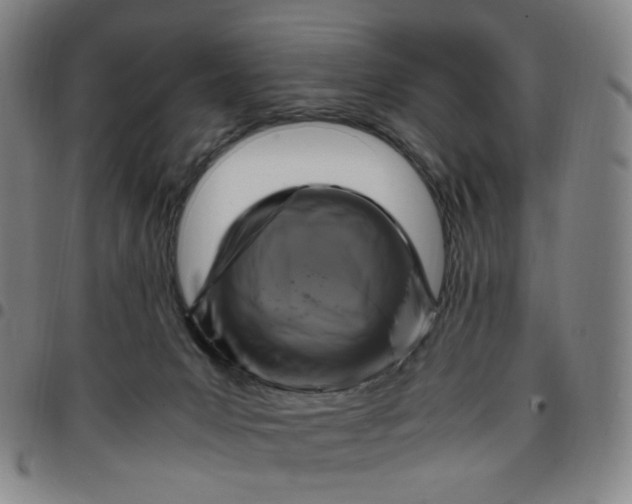 X0000097500031200803071812