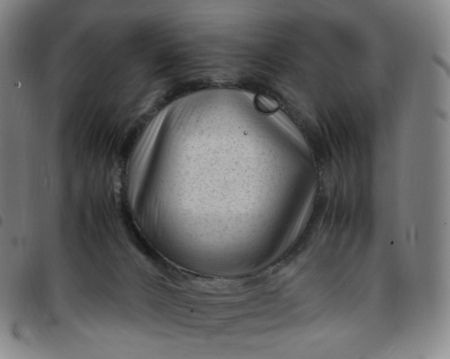 X0000097500032200803071812