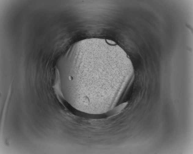 X0000097500033200803071812