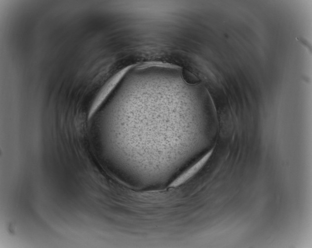 X0000097500034200803071812